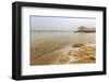 Bathers in the Dead Sea, with Salty Shoreline, Ein Bokek (En Boqeq) Beach, Israel, Middle East-Eleanor Scriven-Framed Photographic Print