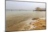 Bathers in the Dead Sea, with Salty Shoreline, Ein Bokek (En Boqeq) Beach, Israel, Middle East-Eleanor Scriven-Mounted Photographic Print