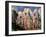 Bathers-Paul Cézanne-Framed Art Print