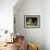 Bathers-Lorenzo Delleani-Framed Giclee Print displayed on a wall