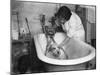 Bathing a Dog-null-Mounted Photographic Print