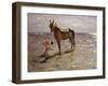 Bathing a Horse, 1905-Valentin Aleksandrovich Serov-Framed Giclee Print