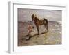 Bathing a Horse, 1905-Valentin Aleksandrovich Serov-Framed Giclee Print