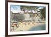 Bathing Beach, Pacific Grove, California-null-Framed Art Print