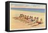 Bathing Beauties on Miami Beach, Florida-null-Framed Stretched Canvas