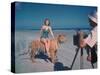 Bathing Beauty Sitting on Back of Large Tiger on Beach as Photographer Sets Up Camera-Eliot Elisofon-Stretched Canvas