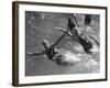 Bathing Belles-null-Framed Photographic Print