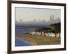 Bathing Boxes, Middle Brighton Beach, Melbourne, Victoria, Australia-David Wall-Framed Photographic Print