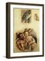 Bathing Couple-Albrecht Altdorfer-Framed Giclee Print