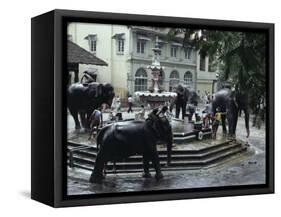 Bathing Elephants in Fountain, Kandy, Sri Lanka-Alain Evrard-Framed Stretched Canvas