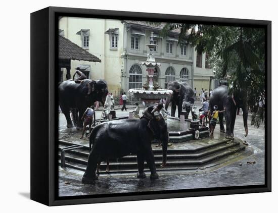 Bathing Elephants in Fountain, Kandy, Sri Lanka-Alain Evrard-Framed Stretched Canvas