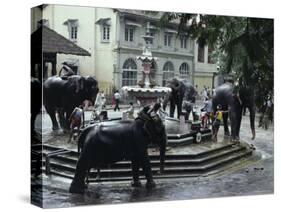 Bathing Elephants in Fountain, Kandy, Sri Lanka-Alain Evrard-Stretched Canvas