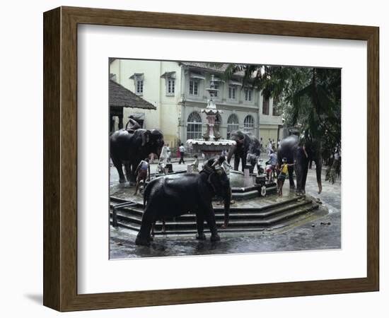 Bathing Elephants in Fountain, Kandy, Sri Lanka-Alain Evrard-Framed Photographic Print