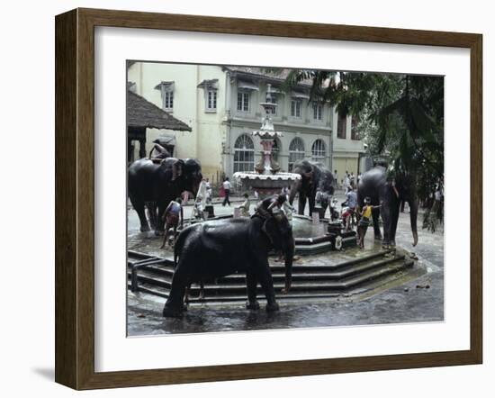 Bathing Elephants in Fountain, Kandy, Sri Lanka-Alain Evrard-Framed Photographic Print