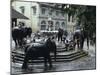 Bathing Elephants in Fountain, Kandy, Sri Lanka-Alain Evrard-Mounted Photographic Print