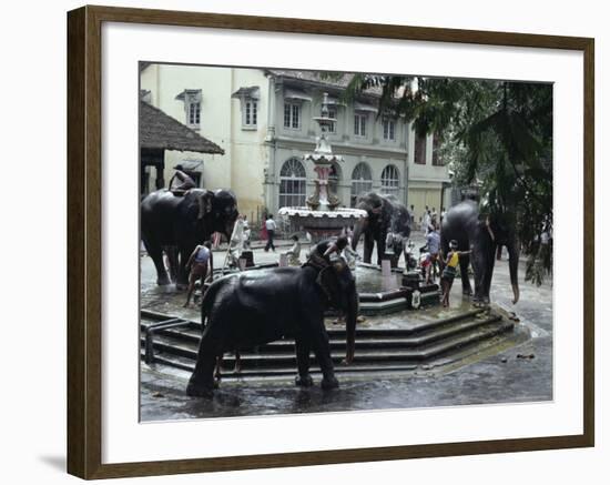 Bathing Elephants in Fountain, Kandy, Sri Lanka-Alain Evrard-Framed Photographic Print