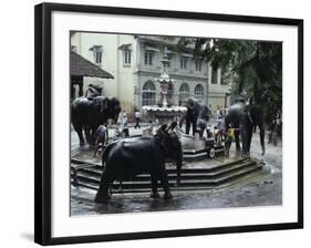 Bathing Elephants in Fountain, Kandy, Sri Lanka-Alain Evrard-Framed Photographic Print