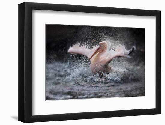 Bathing Fun-Antje Wenner-Braun-Framed Photographic Print