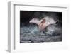 Bathing Fun-Antje Wenner-Braun-Framed Photographic Print