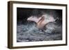 Bathing Fun-Antje Wenner-Braun-Framed Photographic Print