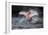 Bathing Fun-Antje Wenner-Braun-Framed Photographic Print