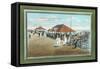 Bathing House, Ocean City, New Jersey-null-Framed Stretched Canvas