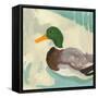 Bathing Mallard II-Jacob Green-Framed Stretched Canvas