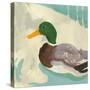 Bathing Mallard II-Jacob Green-Stretched Canvas