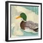 Bathing Mallard II-Jacob Green-Framed Art Print