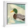 Bathing Mallard II-Jacob Green-Framed Art Print