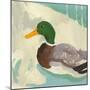 Bathing Mallard II-Jacob Green-Mounted Art Print