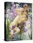 Bathing Nymphs-Gaston Bussiere-Stretched Canvas