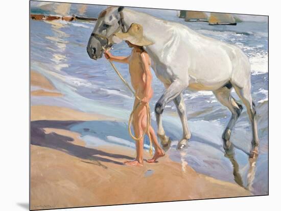 Bathing of a Horse. 1909-Joaquin Sorolla-Mounted Giclee Print