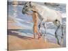 Bathing of a Horse. 1909-Joaquin Sorolla-Stretched Canvas