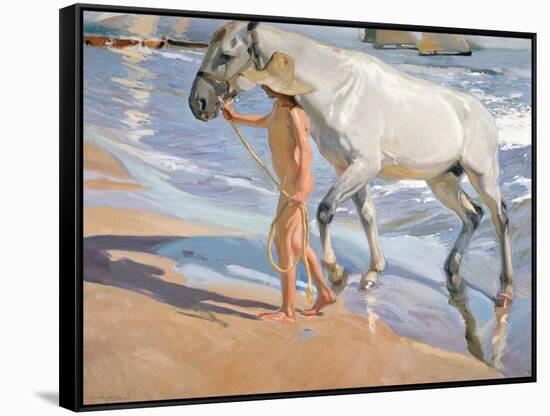 Bathing of a Horse. 1909-Joaquin Sorolla-Framed Stretched Canvas