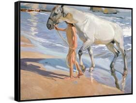 Bathing of a Horse. 1909-Joaquin Sorolla-Framed Stretched Canvas