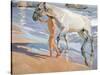 Bathing of a Horse. 1909-Joaquin Sorolla-Stretched Canvas