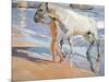 Bathing of a Horse. 1909-Joaquin Sorolla-Mounted Premium Giclee Print
