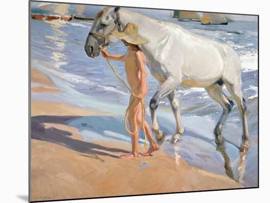Bathing of a Horse. 1909-Joaquin Sorolla-Mounted Giclee Print