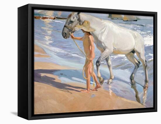 Bathing of a Horse. 1909-Joaquin Sorolla-Framed Stretched Canvas