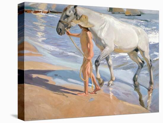 Bathing of a Horse. 1909-Joaquin Sorolla-Stretched Canvas