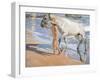 Bathing of a Horse. 1909-Joaquin Sorolla-Framed Giclee Print