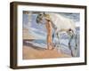 Bathing of a Horse-Joaquín Sorolla y Bastida-Framed Premium Giclee Print