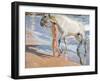 Bathing of a Horse-Joaquín Sorolla y Bastida-Framed Premium Giclee Print