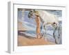Bathing of a Horse-Joaquín Sorolla y Bastida-Framed Premium Giclee Print
