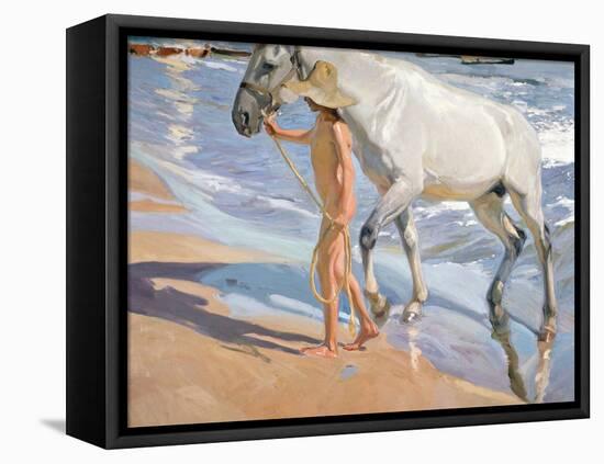 Bathing of a Horse-Joaquín Sorolla y Bastida-Framed Stretched Canvas