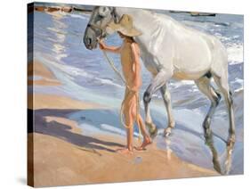 Bathing of a Horse-Joaquín Sorolla y Bastida-Stretched Canvas