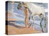 Bathing of a Horse-Joaquín Sorolla y Bastida-Stretched Canvas
