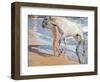 Bathing of a Horse-Joaquín Sorolla y Bastida-Framed Premium Giclee Print