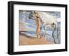 Bathing of a Horse-Joaquín Sorolla y Bastida-Framed Premium Giclee Print